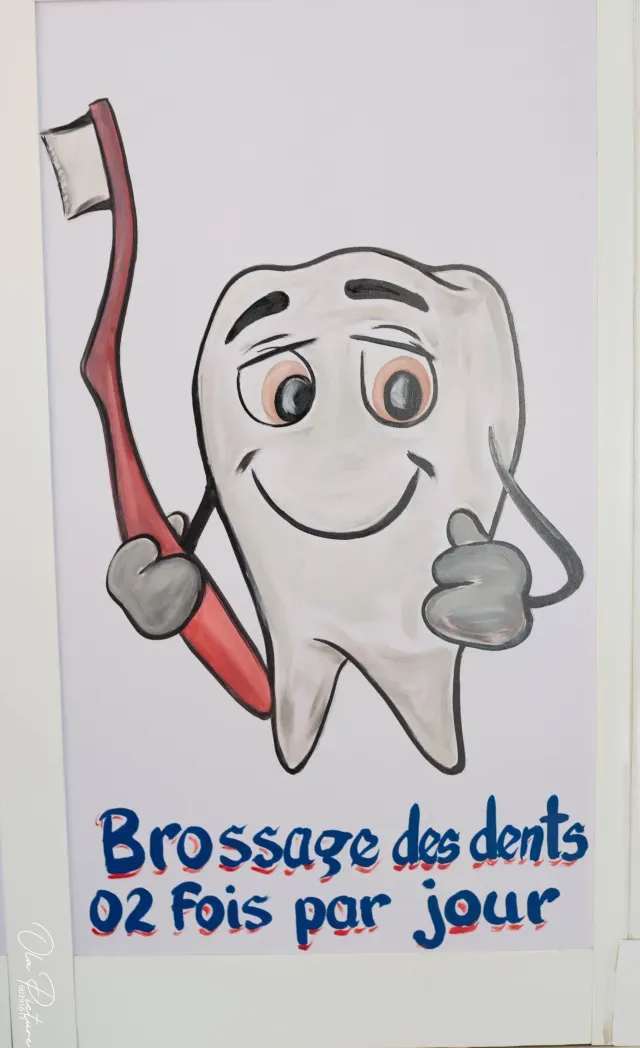 Conseil sur la disposition des dents